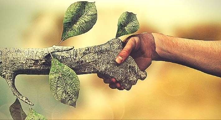Darle la mano a un árbol